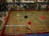coverdale industrial and decorative resin flooring, basildon