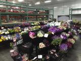 Arizona Flower Market, Phoenix