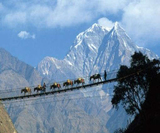 Dharamshala Tourism - Dharamshal Tour Package, New Delhi
