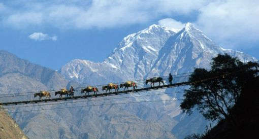 New Albumdharamshala tour of Dharamshala Tourism - Dharamshal Tour Package 6, N.D.M.C. Market Opp K Block, Connught Place - Photo 2 of 3