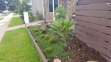 Townsville Side Garden, Oasis Irrigation & Landscaping NQ, Townsville