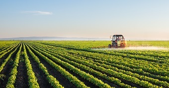 Tractor spraying soybean field at spring  Profile Photos of Cedar Valley Farm Supplies 980 Hawkesville Road - Photo 2 of 2