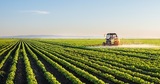 Tractor spraying soybean field at spring , Cedar Valley Farm Supplies, St Jacobs