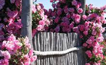  Profile Photos of Kojonup Bed & Breakfast - Clover House 47 Newstead Rd - Photo 8 of 10