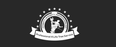  Profile Photos of Professional 4 Life Enterprises 353 Chelsea Ln - Photo 1 of 1