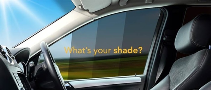 Calgary Window Tint Legacy Tint of Legacy Tint SUITE 96 918-16th AVE NW - Photo 1 of 6