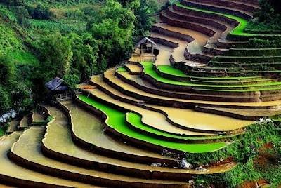  Profile Photos of Tam Singh Travel Vietnam 02 Bau Trang 2, Thanh Khe - Photo 5 of 10