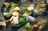 Tam Singh Travel Vietnam, Da Nang