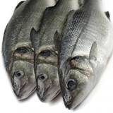  Estuary Fish 1456 London Rd 