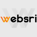 Websri - Singsys Software Services Pvt. Ltd., Lucknow