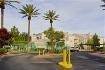  Profile Photos of OCF Marketing Noble Park, 5353 W Desert Inn Road - Photo 21 of 35