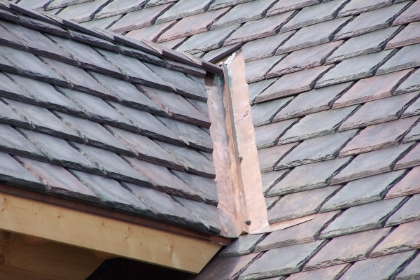  Profile Photos of Brava Roof Tile 915 E Tyler Street - Photo 4 of 10