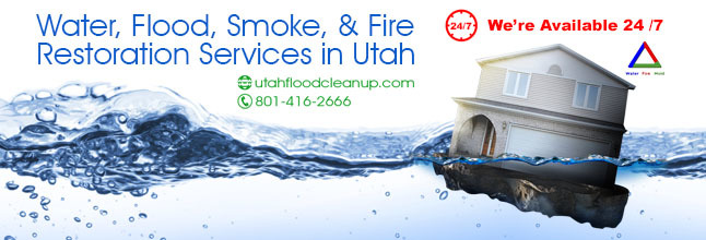  Profile Photos of Utah Flood Cleanup 685 E. 2850 N. - Photo 4 of 5