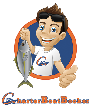  Profile Photos of Clearwater Deep Sea Fishing Charters Boats 25910 Canal Rd - Photo 1 of 1