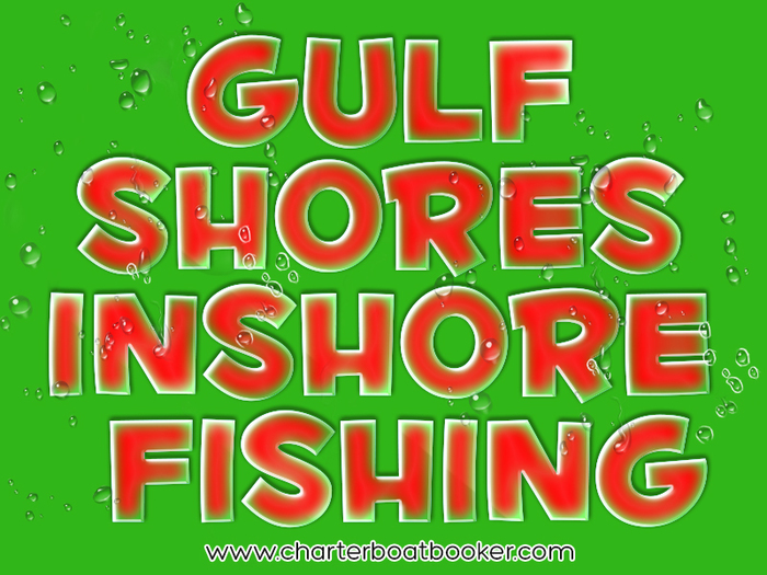 Gulf Shores Inshore Fishing New Album of Clearwater Deep Sea Fishing Charters Boats 25910 Canal Rd - Photo 24 of 28