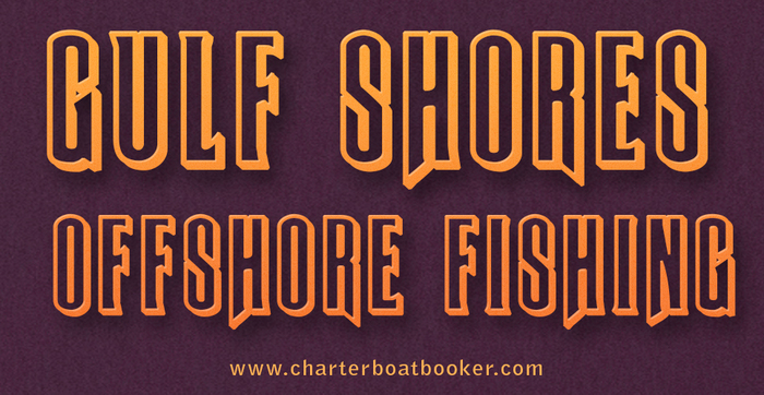 Gulf Shores Offshore Fishing New Album of Clearwater Deep Sea Fishing Charters Boats 25910 Canal Rd - Photo 23 of 28