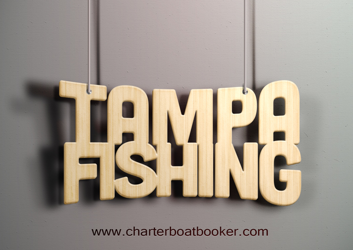 Tampa Fishing Charters New Album of Clearwater Deep Sea Fishing Charters Boats 25910 Canal Rd - Photo 16 of 28