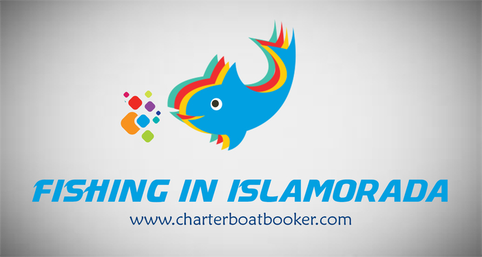 Fishing In Islamorada New Album of Clearwater Deep Sea Fishing Charters Boats 25910 Canal Rd - Photo 10 of 28