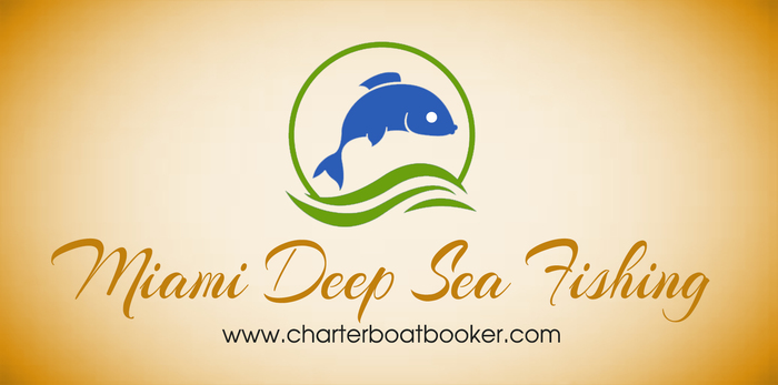 Miami Deep Sea Fishing New Album of Clearwater Deep Sea Fishing Charters Boats 25910 Canal Rd - Photo 4 of 28