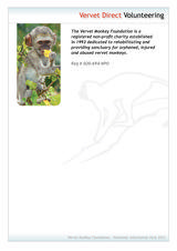 Menus & Prices, Vervet Monkey Foundation, Letsitele