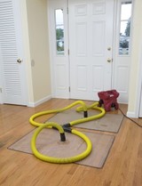 PuroClean, Lakeland