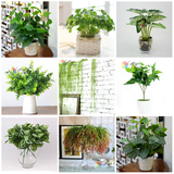 Sell artificial silk flowers & plants for home wedding party deco, Shenzhne