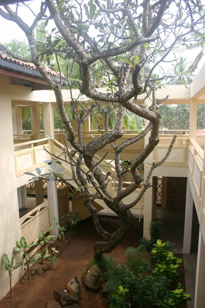  Profile Photos of Sanmali Beach Hotel, Marawila, Sri Lanka Beach Road - Photo 20 of 44