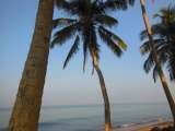            Sanmali Beach Hotel, Marawila, Sri Lanka Beach Road 