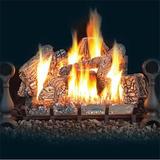 Vented gas fireplace, Lakeville