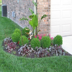                                 Profile Photos of All Seasons Landscaping Services 11630 Airport Rd Ste # 500 - Photo 5 of 10