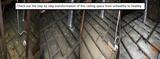 Insulvac Insulation & Vacuuming, Leichhardt
