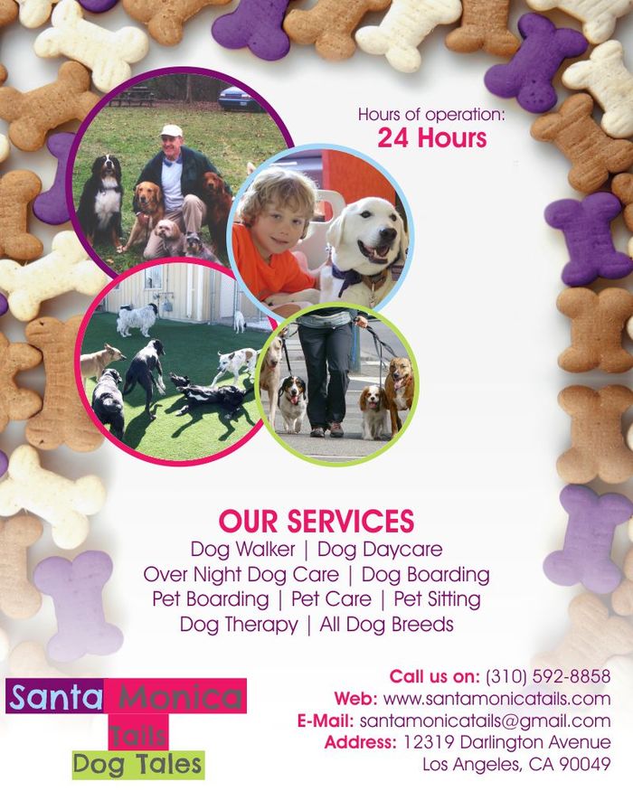  Profile Photos of Santa Monica Tails | Best Santa Monica dog walker 12319 Darlington Avenue - Photo 1 of 1