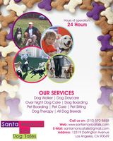 Santa Monica Tails | Best Santa Monica dog walker, Los Angeles