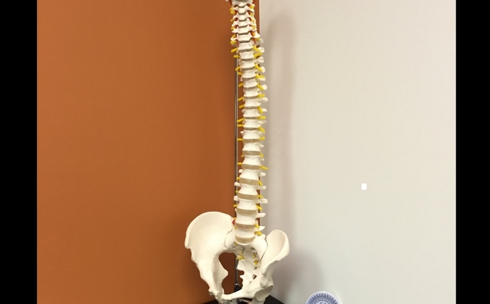  Profile Photos of BEAT Physical Therapy 5840 Banneker Rd, Ste 230 - Photo 9 of 13