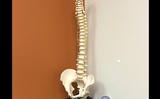  BEAT Physical Therapy 5840 Banneker Rd, Ste 230 