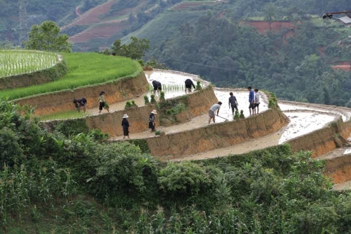  Profile Photos of Custom Vietnam Travel No 116 Lane 76/32 An Duong, Yen Phu, Tay Ho - Photo 11 of 38