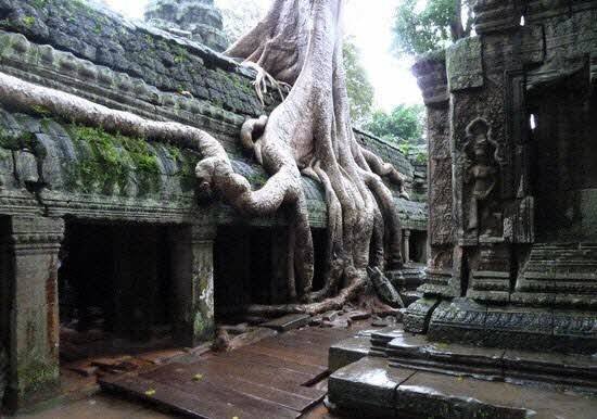  Profile Photos of Custom Vietnam Travel No 116 Lane 76/32 An Duong, Yen Phu, Tay Ho - Photo 9 of 38