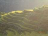                                 Custom Vietnam Travel No 116 Lane 76/32 An Duong, Yen Phu, Tay Ho 