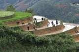 Custom Vietnam Travel No 116 Lane 76/32 An Duong, Yen Phu, Tay Ho 