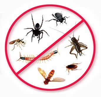  Profile Photos of Pest Control Dartford 35D Tufnail Rd - Photo 1 of 3