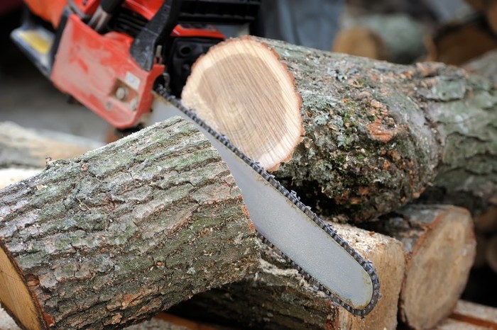 Close-up of male hands cutting trunk with chainsaw Profile Photos of PCR Tree Service 7610 E. Brainerd Rd, #28343 - Photo 1 of 6