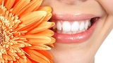  Larchmont Dental Associates 581 North Larchmont Boulevard 