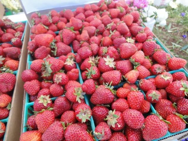  Profile Photos of Estacada Farmers Market 3rd & Broadway - Photo 3 of 6