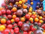  Estacada Farmers Market 3rd & Broadway 