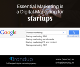 Brandup is a innovative SEO, Social media and digital marketing agency, Pune