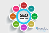 Brandup is a innovative SEO, Social media and digital marketing agency, Pune