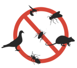 Pest Control Cheshunt, Pest Control Cheshunt, Cheshunt