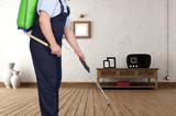 Pest Control Cheshunt, Pest Control Cheshunt, Cheshunt