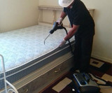 Pest Control Cheshunt, Pest Control Cheshunt, Cheshunt