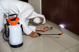 Pest Control Cheshunt, Pest Control Cheshunt, Cheshunt